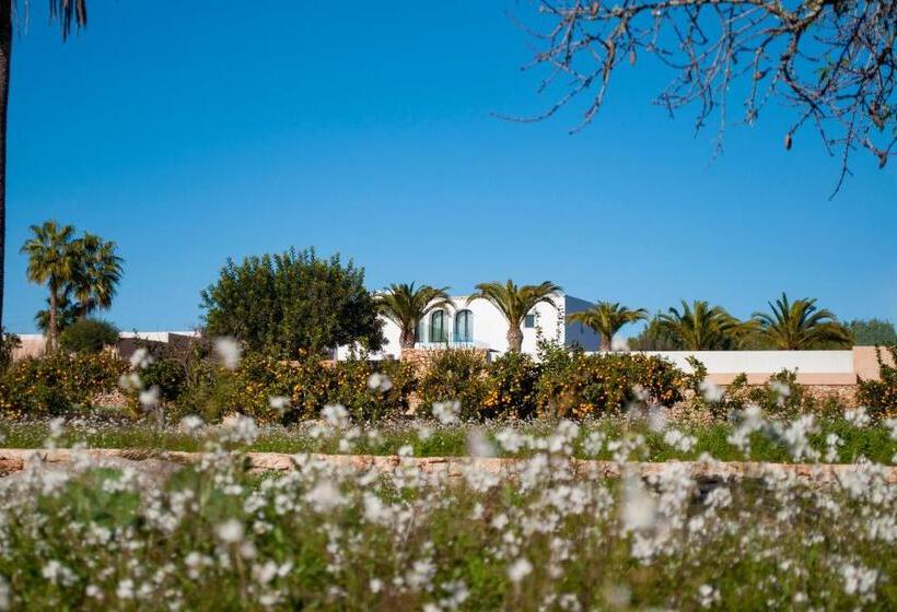 هتل Safragell Ibiza Suites & Spa