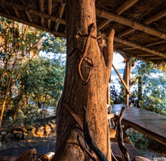 هاستل Happy Lemon Tree Lodge