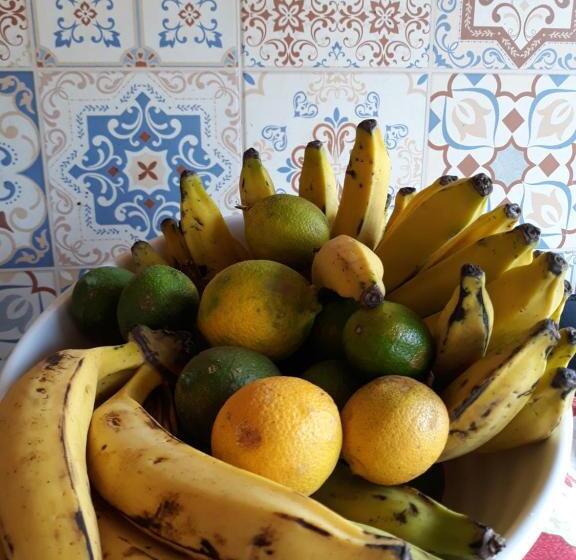 هاستل Pousada Jeito Bom De Viver