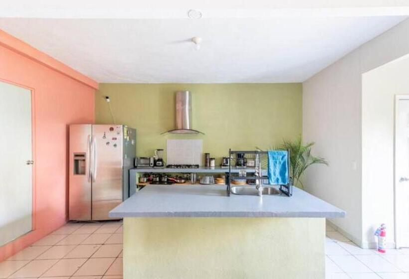 تختخواب و صبحانه Dici Co Living Housing Cabo San Lucas