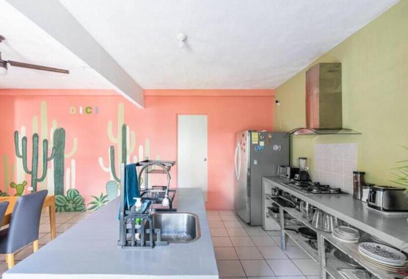 تختخواب و صبحانه Dici Co Living Housing Cabo San Lucas