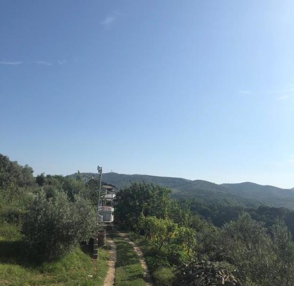 تختخواب و صبحانه Guest House Xhuljon