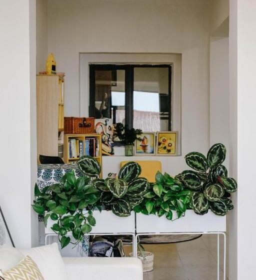 پانسیون Dali Lila's House Seaview Guesthouse