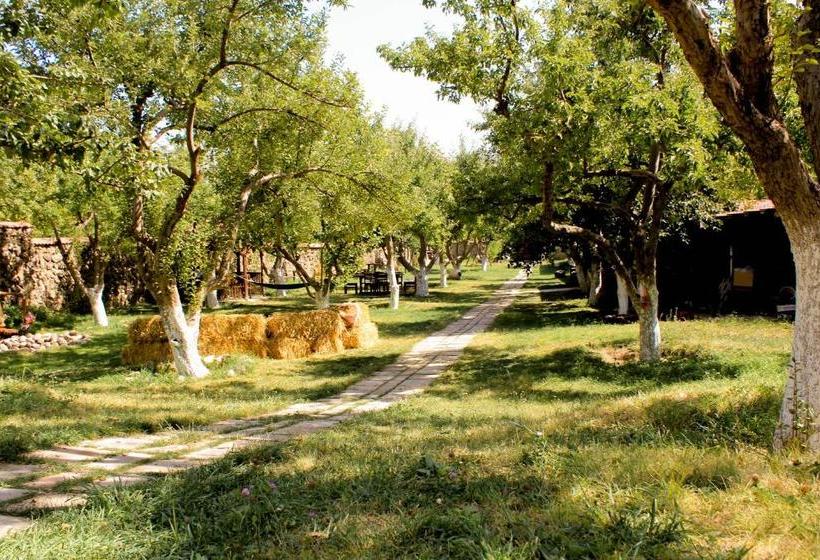 پانسیون Garni Hinyard
