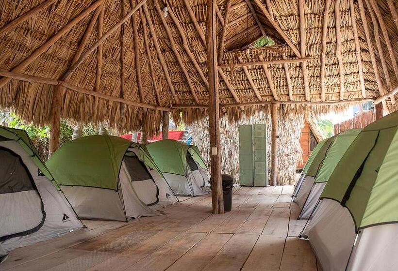 پانسیون Mapache Hostel & Camping