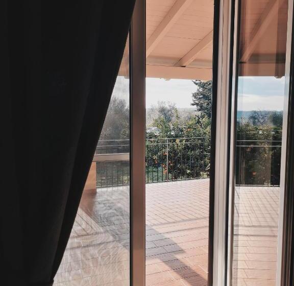 B&b Verdeoliva