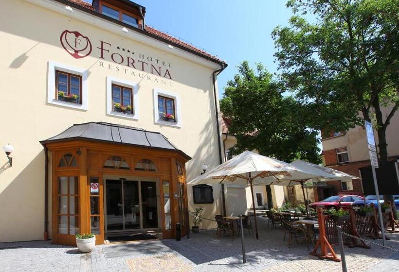 هتل Fortna