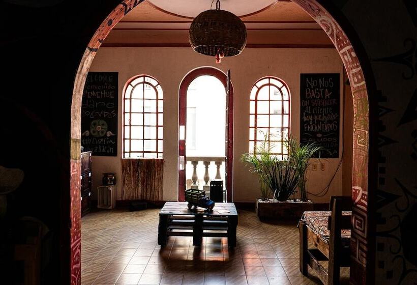 هتل Hostal Chesal
