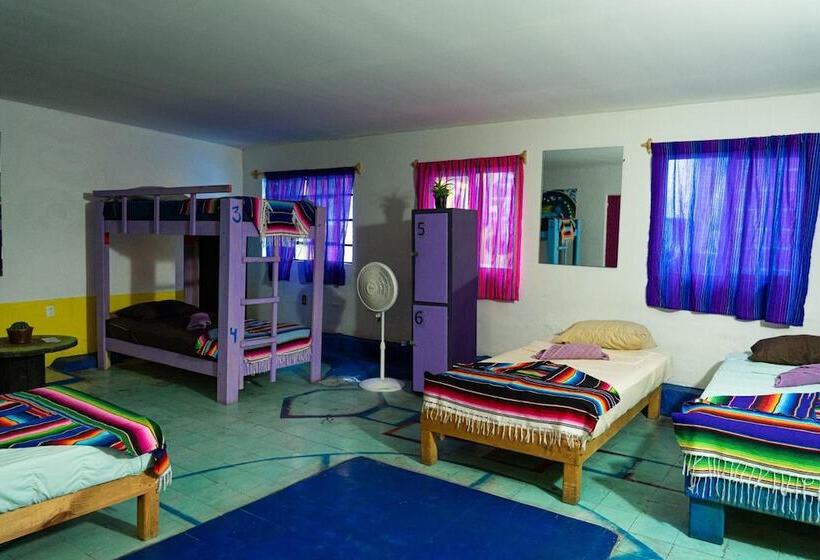 هتل Hostal Chesal