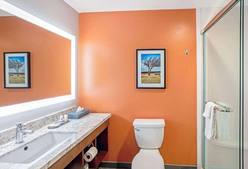 هتل La Quinta By Wyndham Waco Baylor Downtown