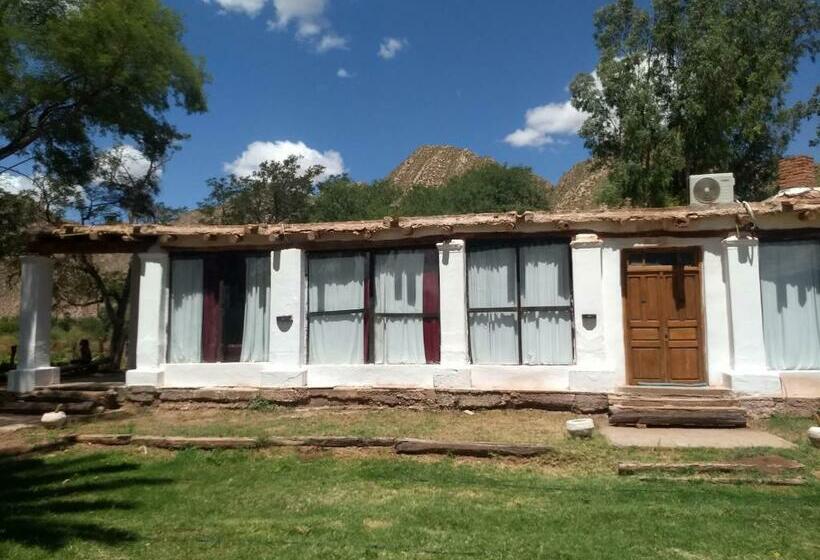 هتل Hacienda Casa Blanca