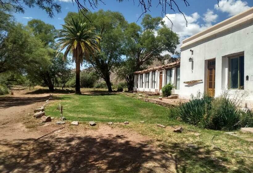 هتل Hacienda Casa Blanca