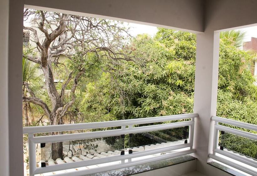 تختخواب و صبحانه Palmas Hostel
