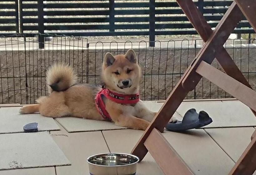 膳宿费 Guesthouse Gifu Suai