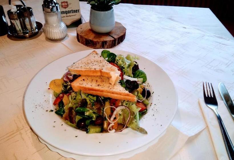 ユースホステル Gasthaus Schachinger