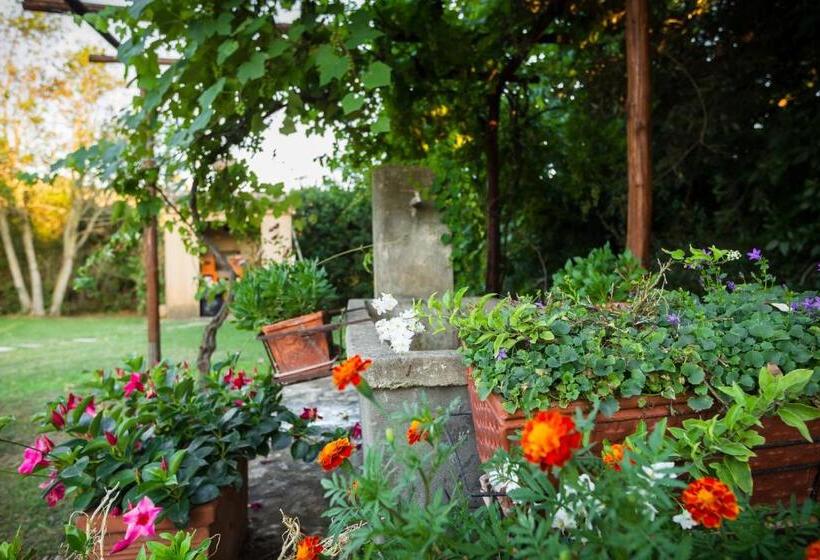 住宿加早餐  Agriturismo Antica Pinciana