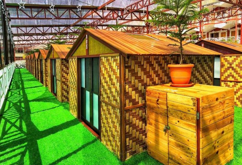 هتل کپسول Kea Garden Mini Chalet   Hostel