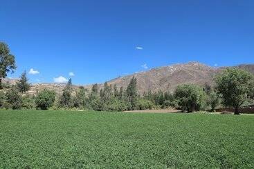 هاستل Schatzi Lodge