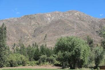 هاستل Schatzi Lodge