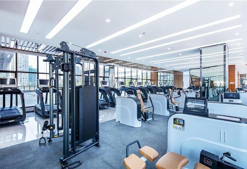 Отель Howard Johnson New District Plaza Ziyang