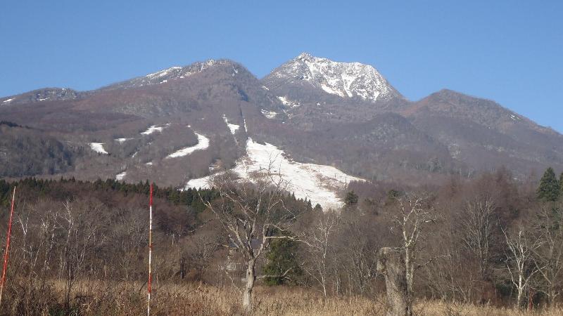 Ryokan Cafe Cerisier栖里時絵