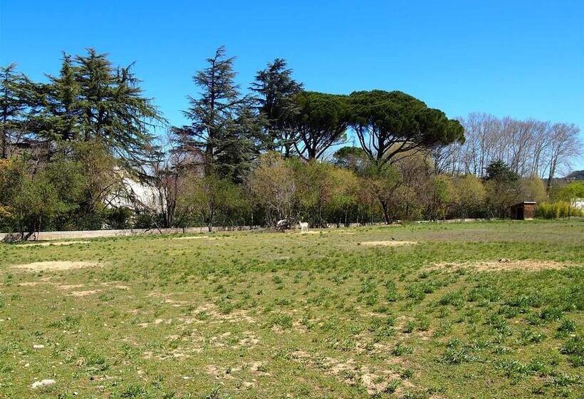 تختخواب و صبحانه Domaine Shambala   Maison D Hôte En Provence   Piscine Chauffée