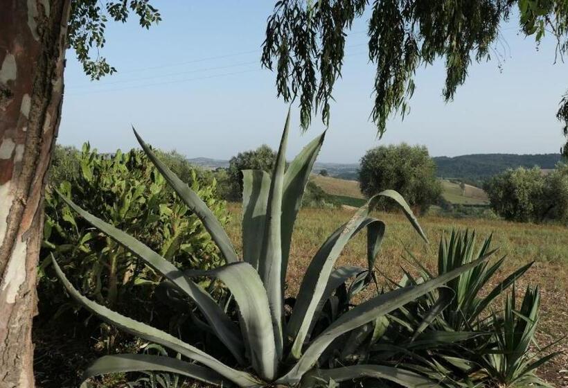 فندق Agriturismo Uliveto Gretacci