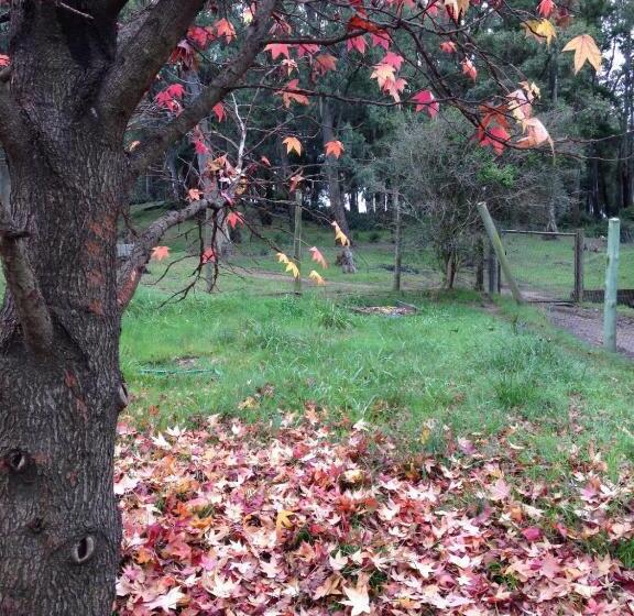 پانسیون Un Lugar Para Compartir