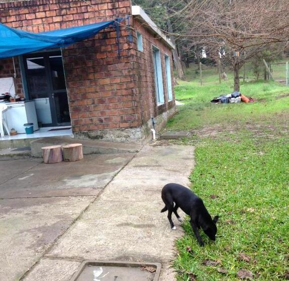 پانسیون Un Lugar Para Compartir