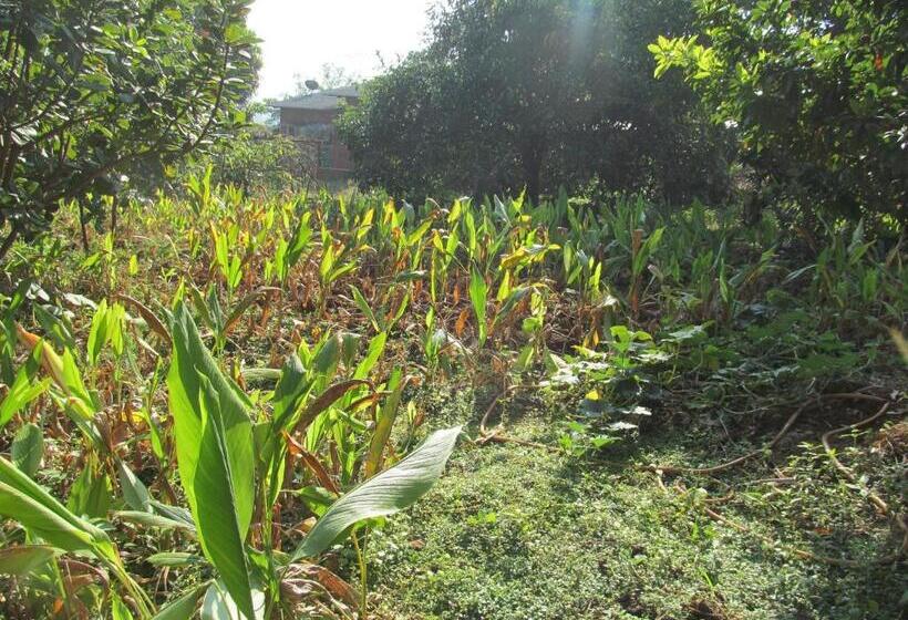 펜션 Vidya Konkan Agro Tourism