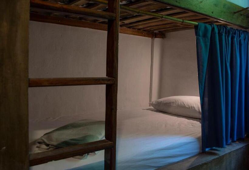 پانسیون Cinnamon House