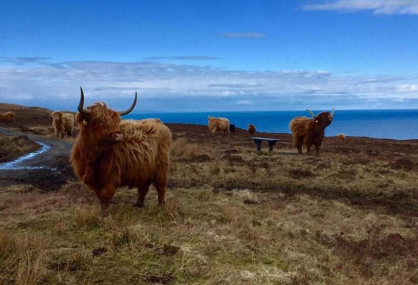 مبيت وإفطار Tyndrum Lodges