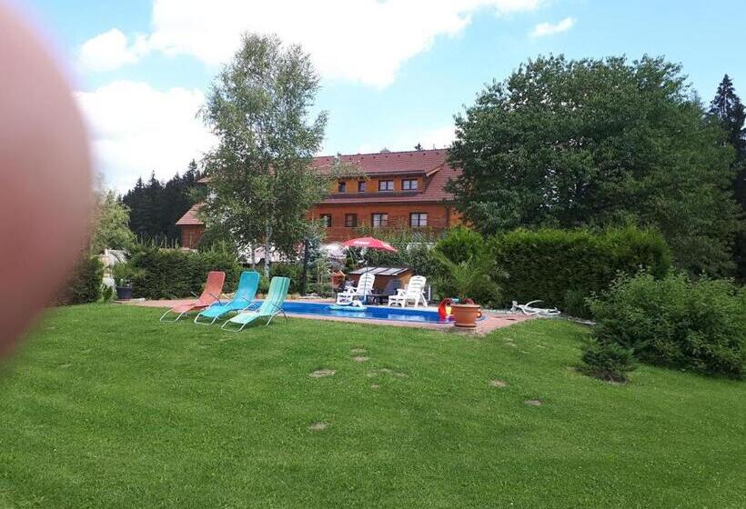 بنسيون Penzion Planicka