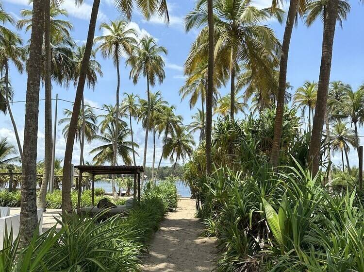 هتل Coucoue Lodge