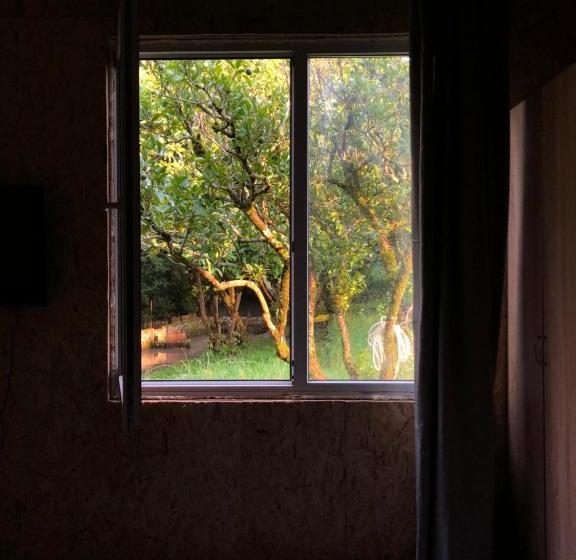 پانسیون V Gostiakh U Maii