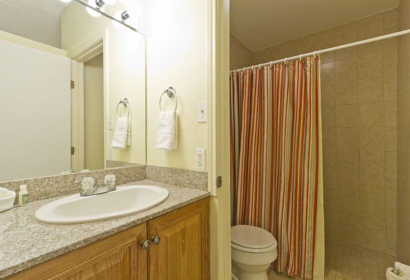 مُتل The Palms Resort