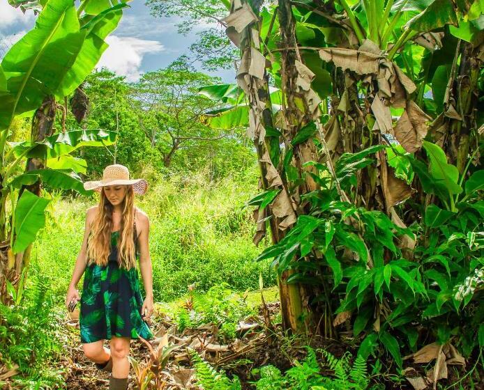 酒店 Hawaiian Sanctuary Eco Retreat Center
