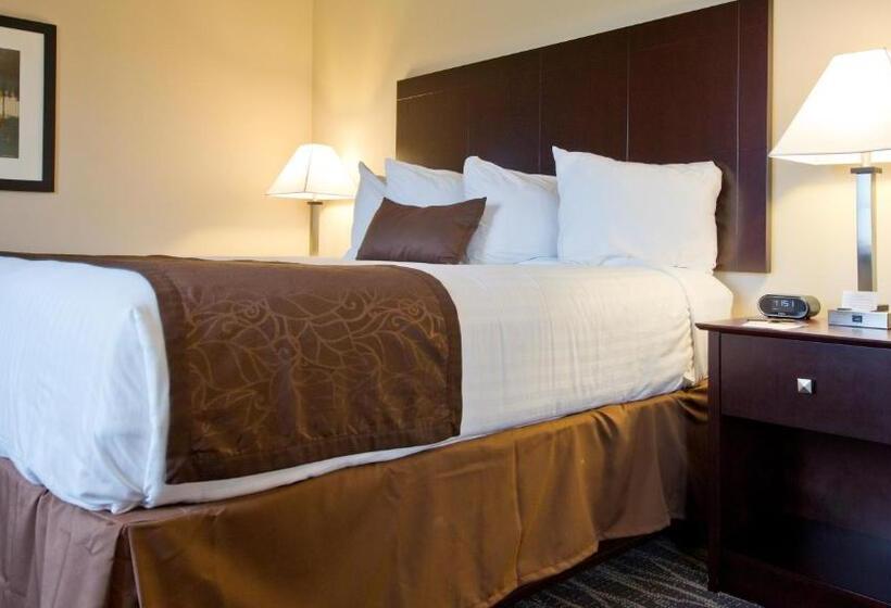 فندق Cobblestone Inn & Suites  Boone