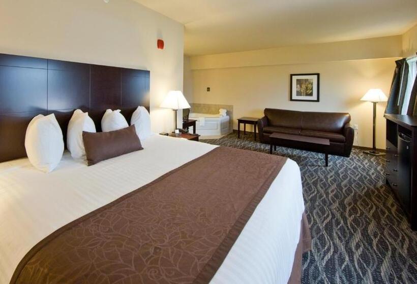 فندق Cobblestone Inn & Suites  Boone