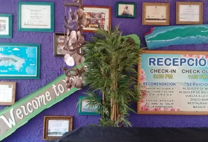 هاستل Posada Nativa Licy