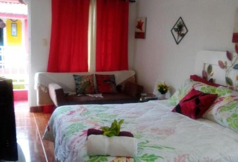 هاستل Posada Nativa Licy