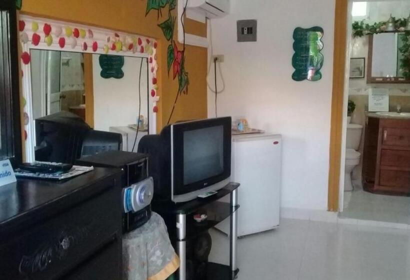 هاستل Posada Nativa Licy