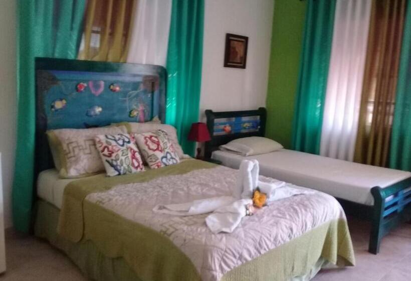 هاستل Posada Nativa Licy