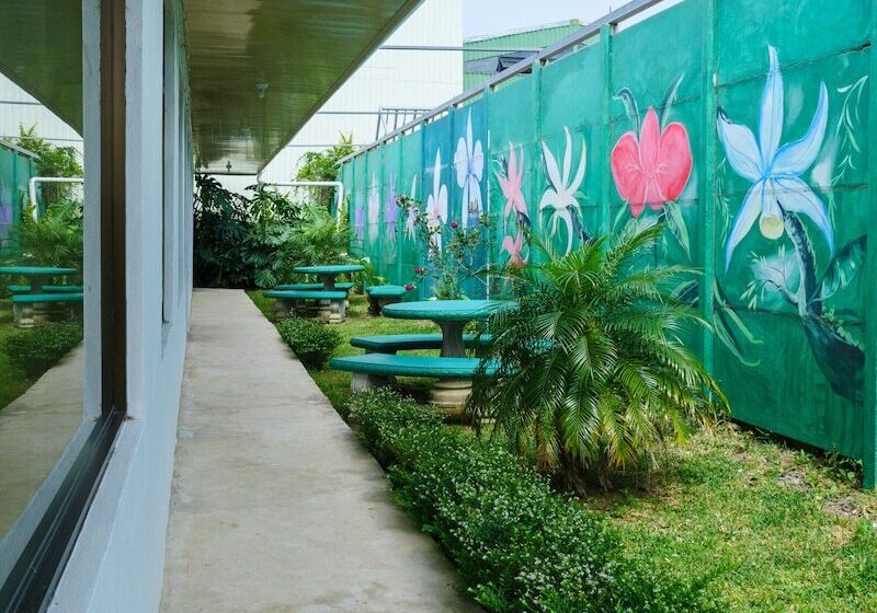تختخواب و صبحانه Hostel Cattleya Monteverde, Costa Rica