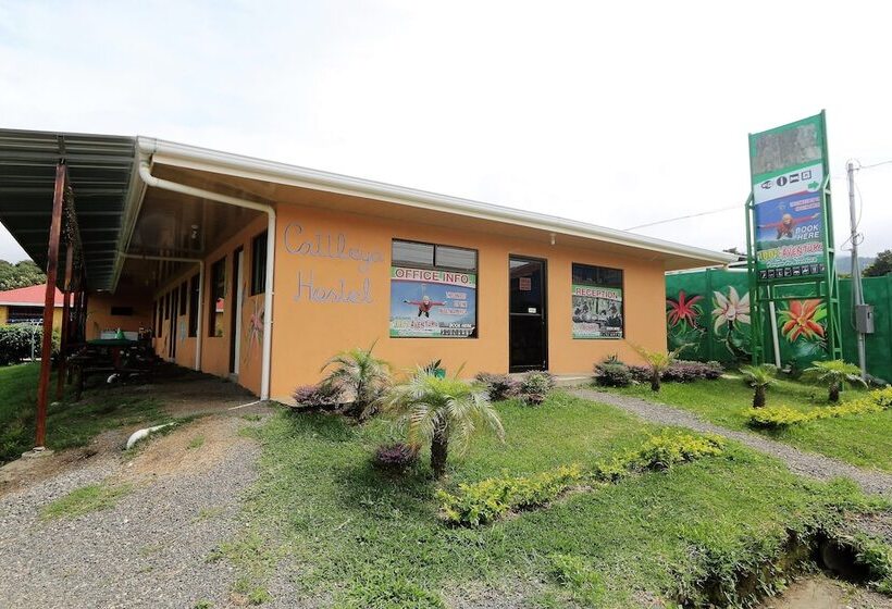 تختخواب و صبحانه Hostel Cattleya   Monteverde, Costa Rica