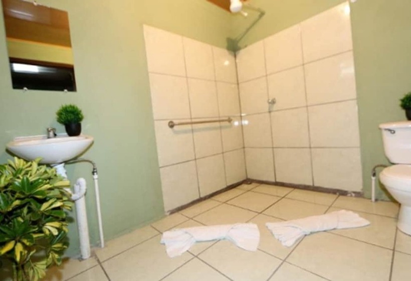 تختخواب و صبحانه Hostel Cattleya   Monteverde, Costa Rica