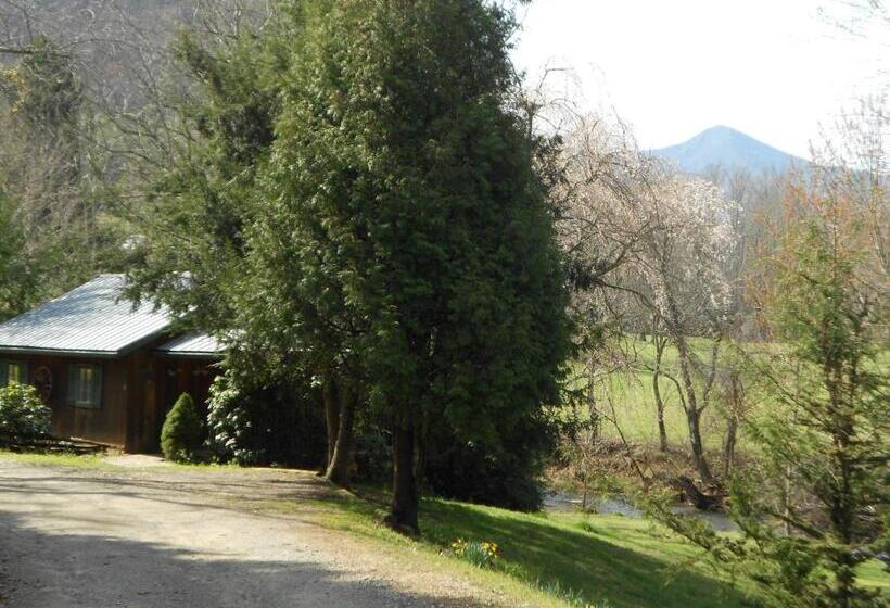 モーテル Mountain Springs Cabins