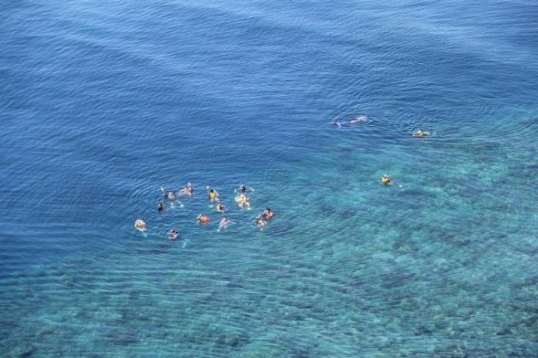 پانسیون Island Villas Pacific Harbour