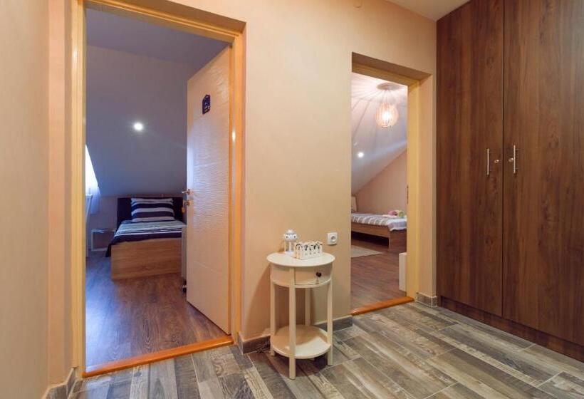 پانسیون Anamari Loft Rooms