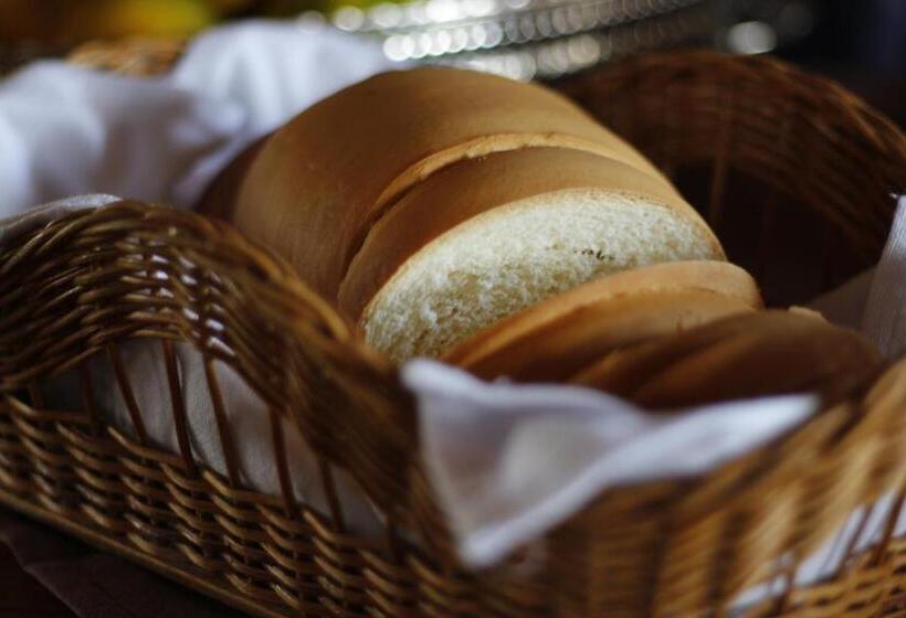 פנסיון Pousada Rural Vista Alegre